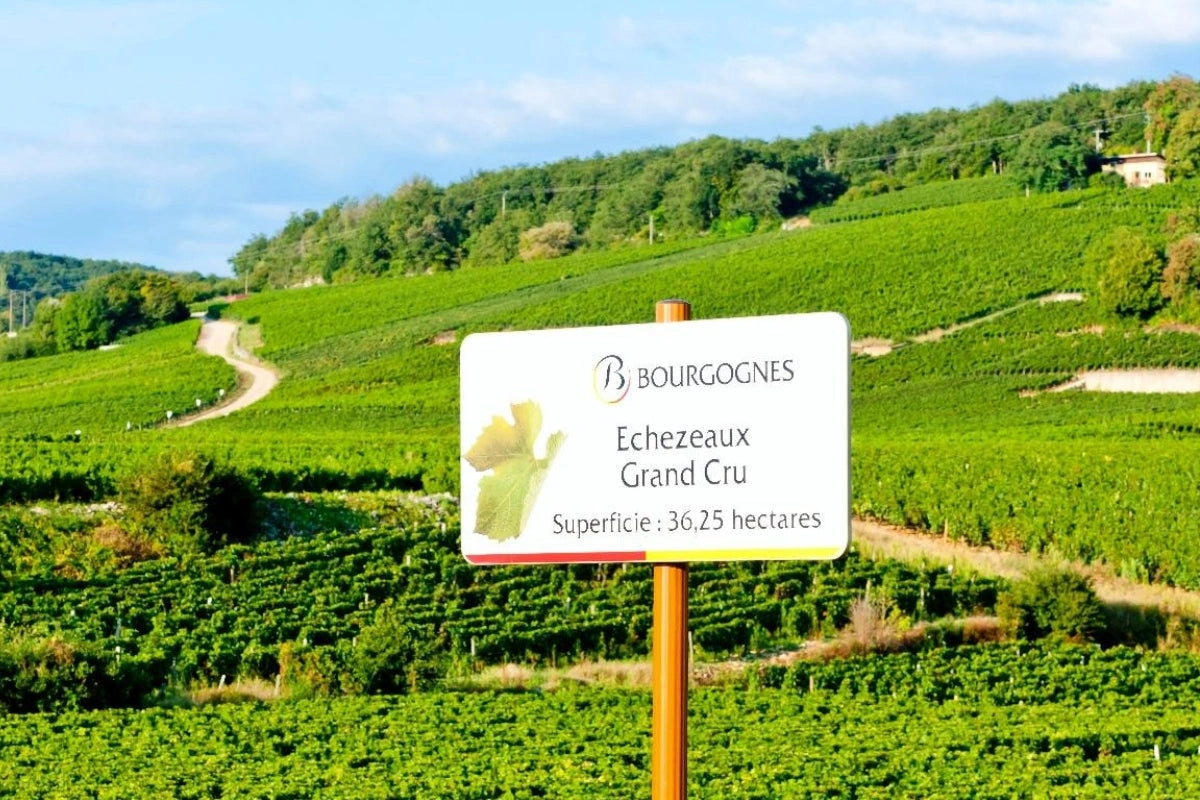A sign over the vineyards in Burgundy, France.