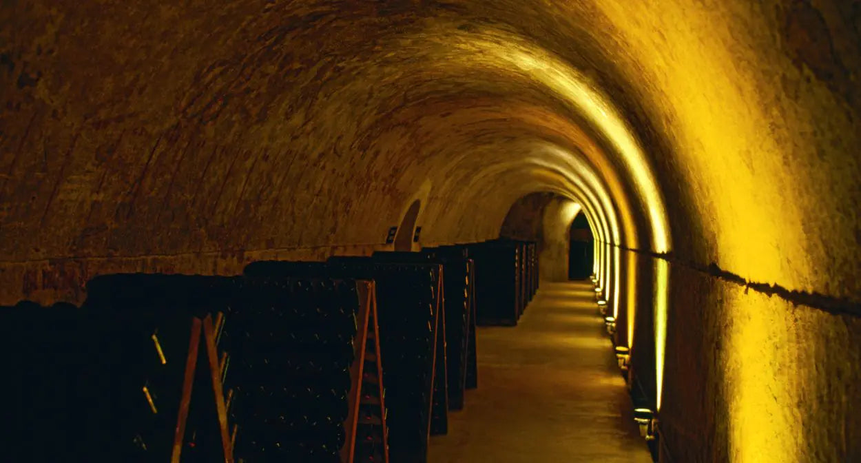 Inside the cellars during a Mumm Champagne Tour