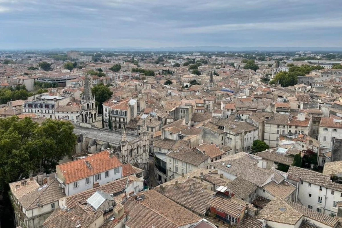 Avignon from the top of the Pope's Palace.