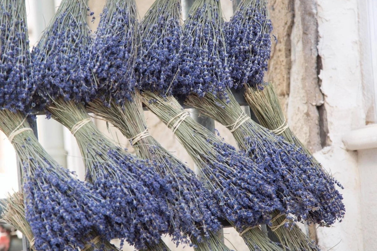 Bunches of lavender at a market in Provence, France.
