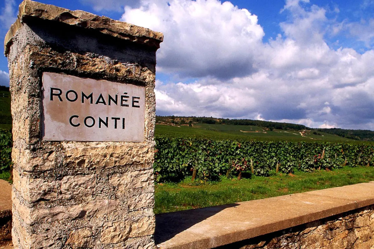 Romanée-Conti vineyards in Burgundy, France.