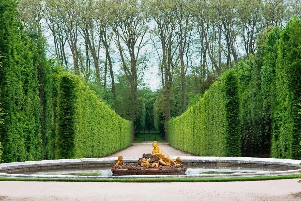A fountain in the middle of the Palace of Versailles.