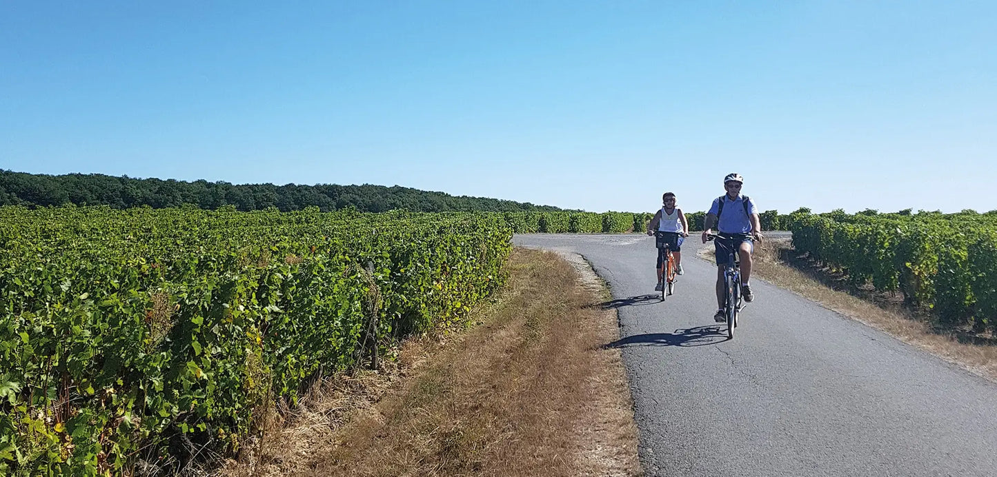 Biking in the amazing Loire Valley