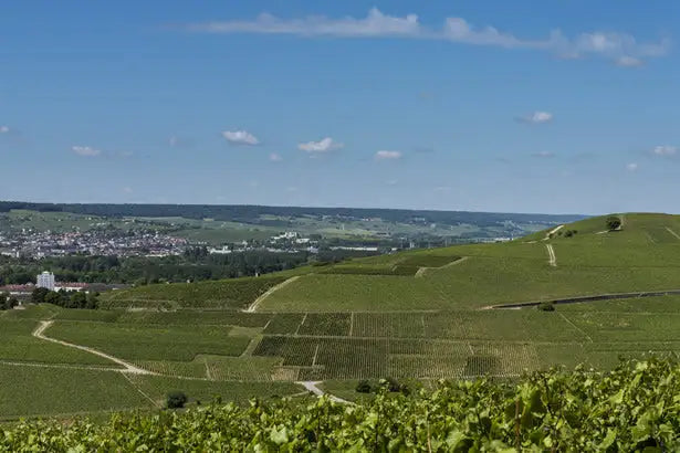 A view over the town of Epernay.