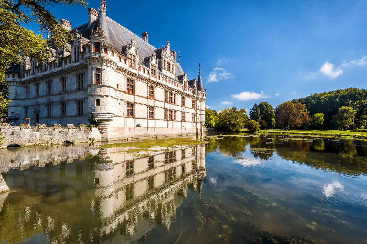 A castle in the Loire Valley.