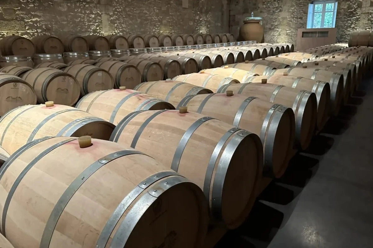 Casks of amazing Bordeaux wine.