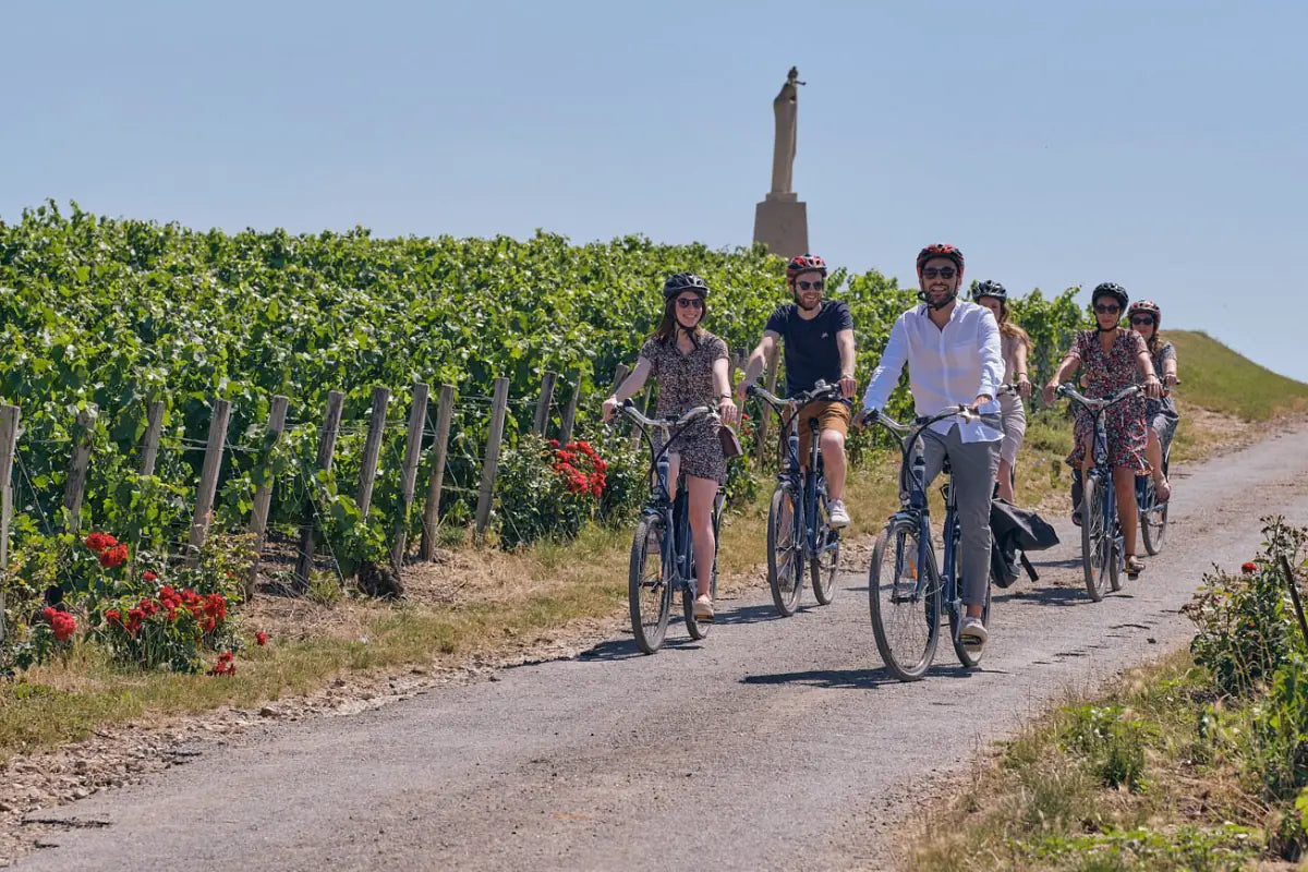 Biking through the vineyards in  Champagne, France.