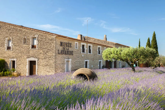 The Lavander Museum in Provence, France.