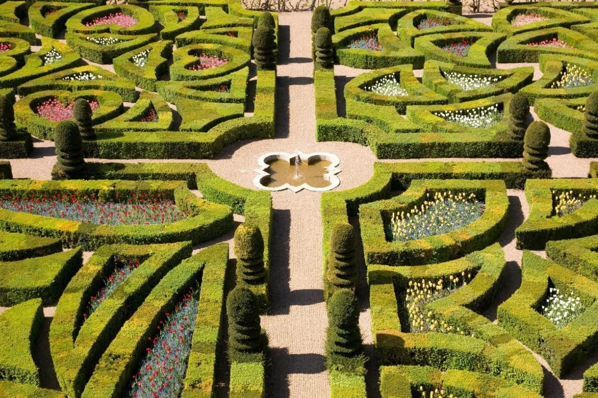 The beautiful gardens at Villandry in the Loire Valley.