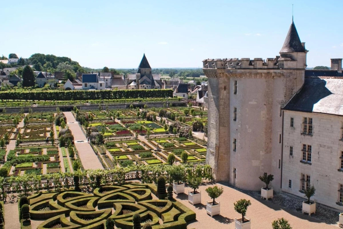 The gardens at Villandry castle in the Loire Valley.