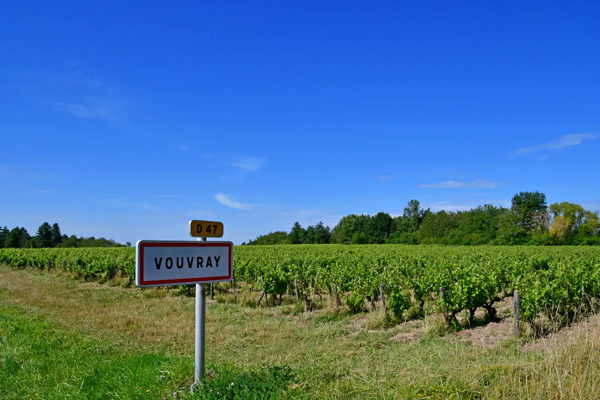 Vouvray vineyards in the Loire valley.