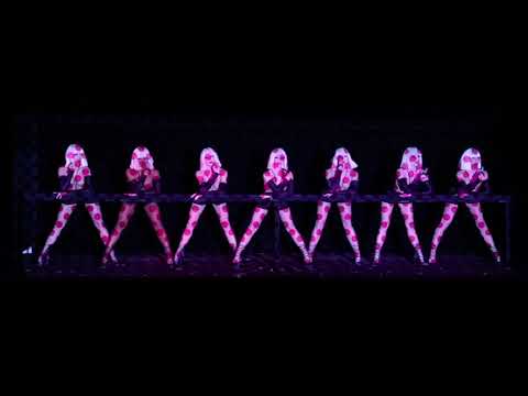 A video introduction of the Crazy Horse Paris cabaret show.