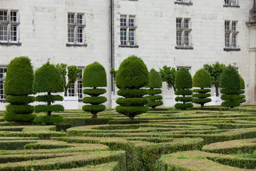 The gardens at Villandry in the Loire Valley.