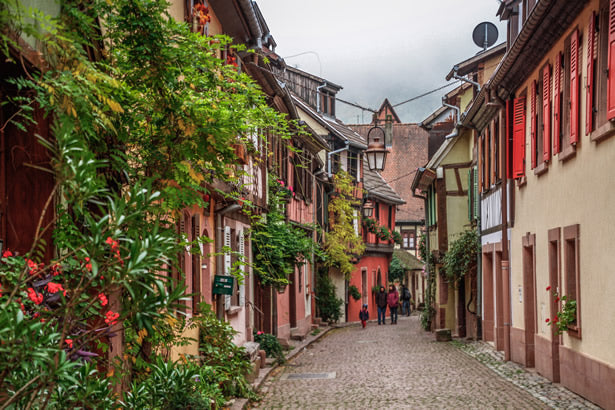 Alsace Wine Tour from Paris